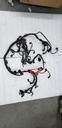 WIRE HARNESS ASSY - YAMAHA - 8HG-82590-20-00 yamaha
