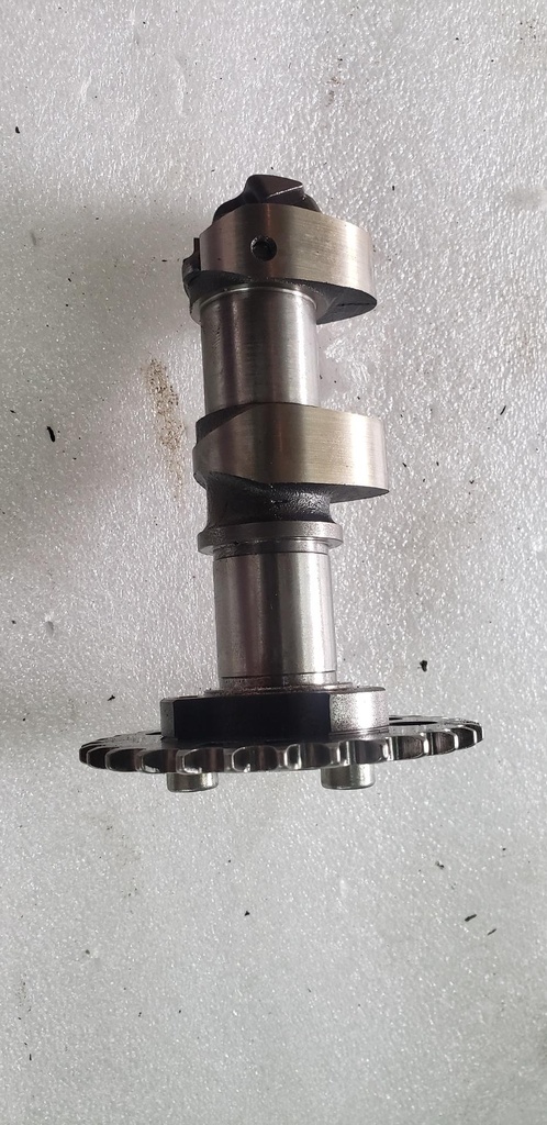 Camshaft, Exhaust