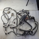 HARNESS MAIN SPORTMAN 570