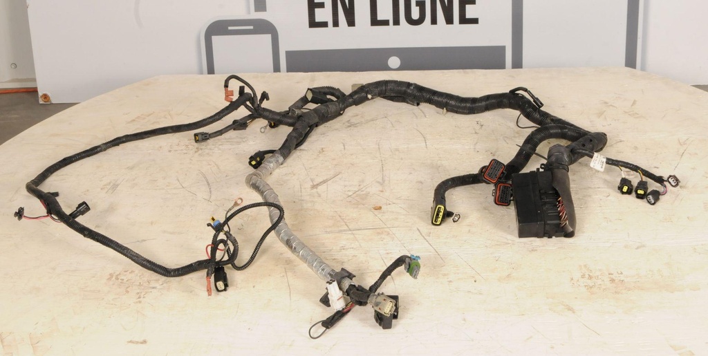 Wire Harness Assy