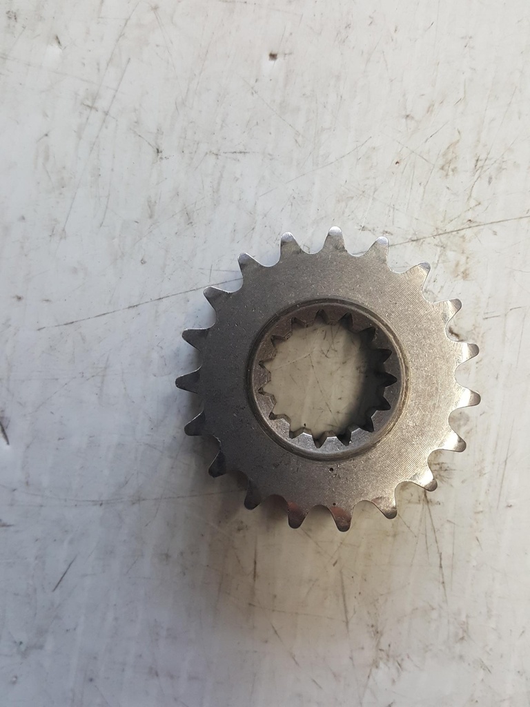 (new ref. 504153783) sprocket, 19 teeth