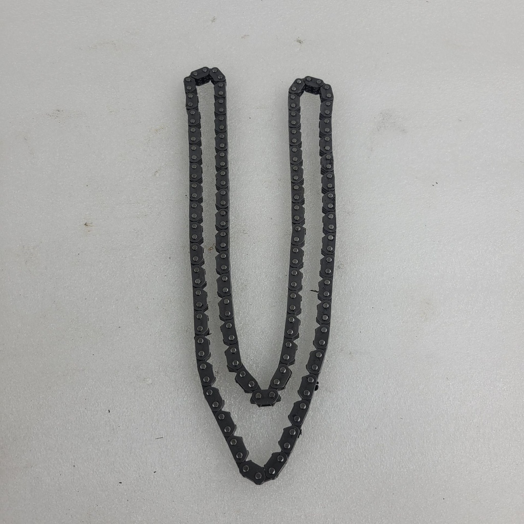 [420297086-001] camshaft chain