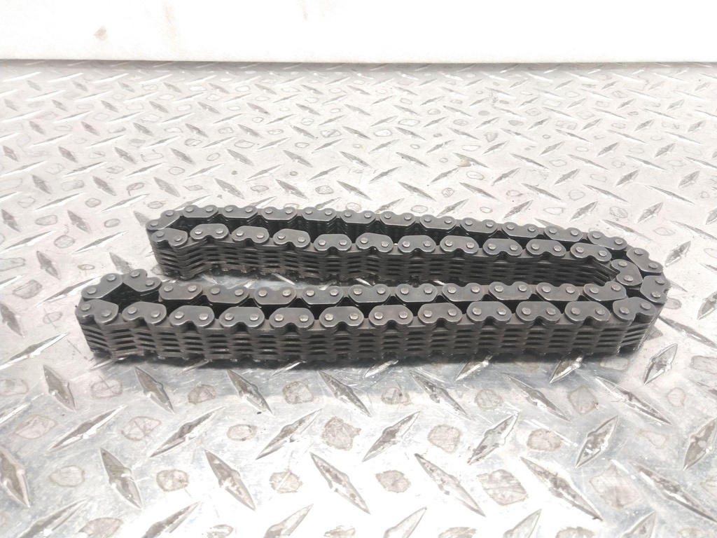 drive chain 100 links